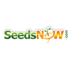 SeedsNow